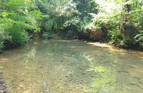 Echo Valley Outdoor Oasis Campsite - Foto 37