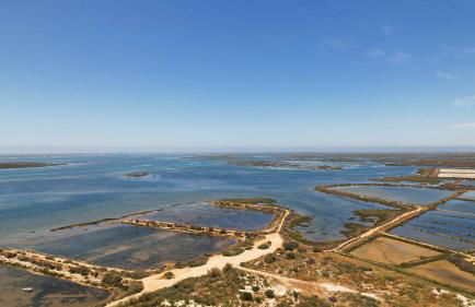 Caroline Du Sul - Foto 33