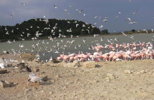 Chez Odile - Foto 18