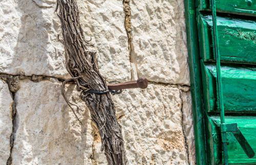 Dalmatian Stone House - Photo 46