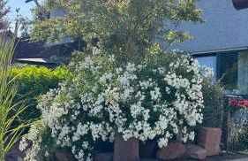 Ferienwohnung RhönKiss - Foto 29