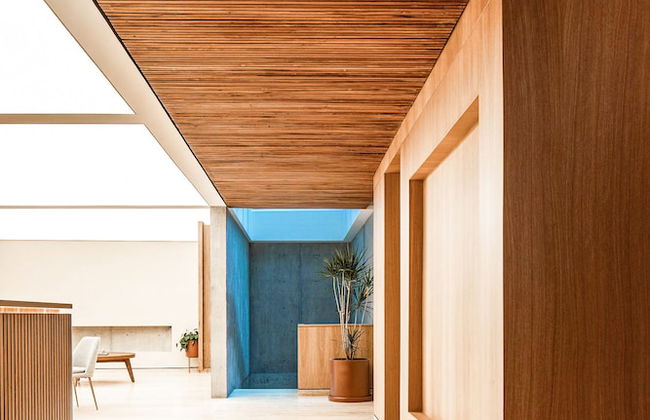 Ana Polanco Apartments - Foto 4