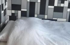 Our Guests Are Royal (EL) Wellingborough - Photo 13