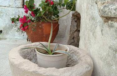 GIATRELOS HOUSE Holiday Home near Shipwreck Zakynthos - Foto 17