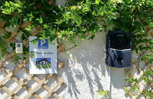 I tulipani - Foto 13