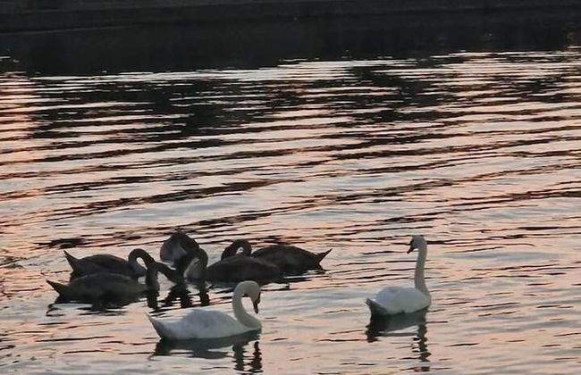 Romantic 3beds Yacht Escape on Thames - Photo 11
