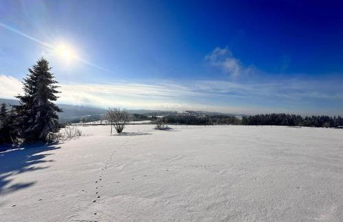 PanoramaChalet Winterberg - Foto 30