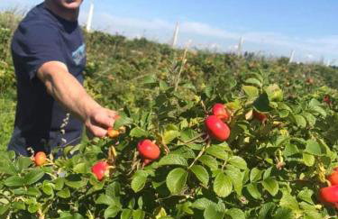 Apartament Różane Wzgórze - Foto 48