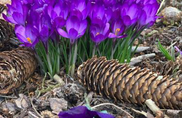 Agro na Wapniarni - Foto 36