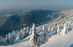 La Clé des Champs - Foto 15