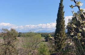 Maison en Drôme Provençale - Foto 21