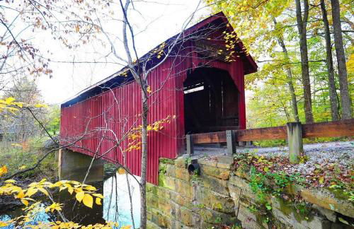 Blue Moon Log Cabin - Foto 18