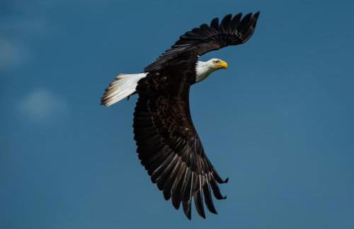 Dungeness Barn House Bed and Breakfast at Two Crows Farm - Foto 70