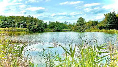 GastRoom Am Seefeld - Foto 4