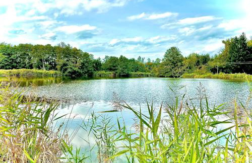 GastRoom Am Seefeld - Foto 4