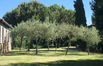 Villa Carmeli 12 2 in Acquapendente - Foto 20