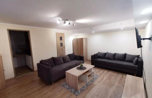Apartament położony u podnóża Gór Bardzkich - Foto 1