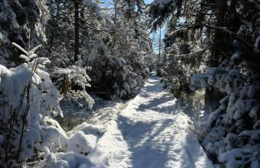 Evin's Apartment - Foto 33