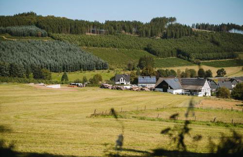 Ferienhaus Fichtenhütte - Foto 49