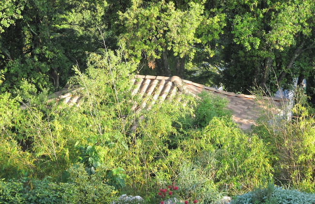 Domaine en Terre Happy - Foto 48