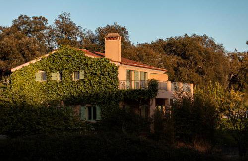 Vale De Ferreiros - Foto 48