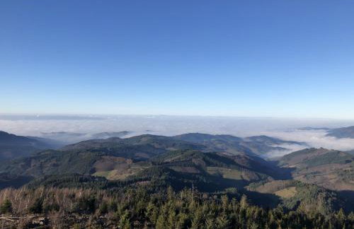 Ferienwohnungen Golla-lang - Foto 7