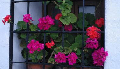 Casa Rural en Grazalema - Foto 3