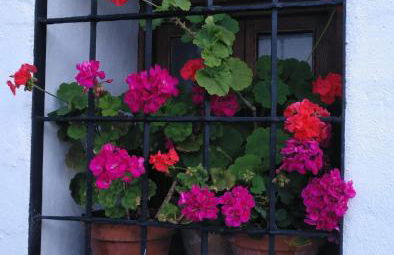 Casa Rural en Grazalema - Photo 3