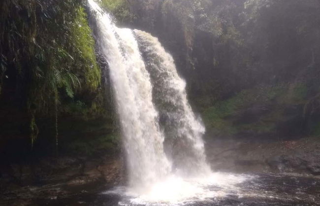 Excursion privée à la cascade de Tres Chorros - Photo 6