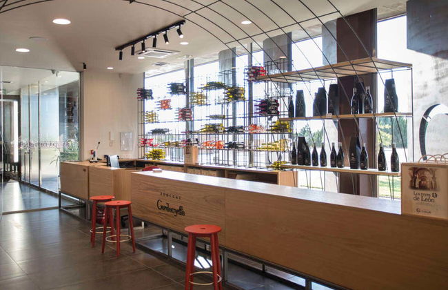 Visita à adega Gordonzello - Foto 8