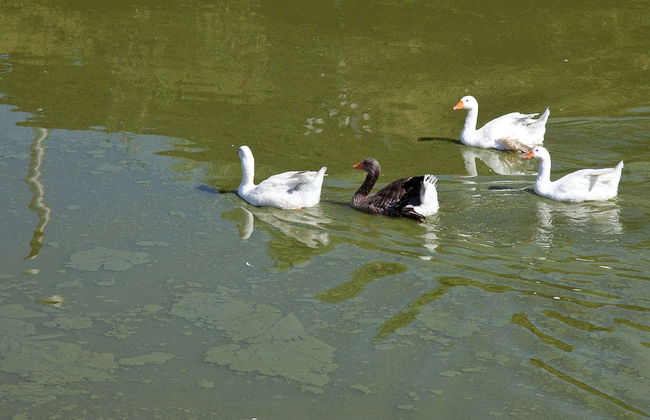 Villa in Alia With Pool & Olive Views - Photo 18