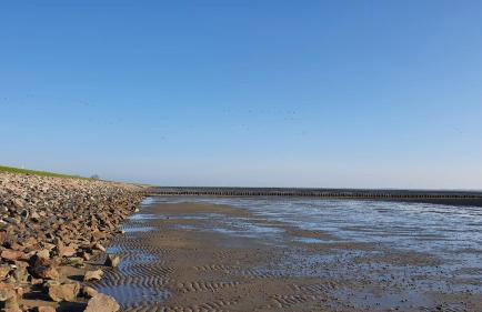 Reetdachhaus Moordeichperle - Photo 34