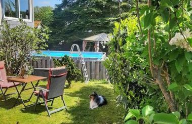 Hillis Ferienwohnung Saarland - Foto 5