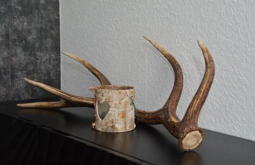 Appartement am Diemelsee Infrarotsauna inklusive - Foto 60