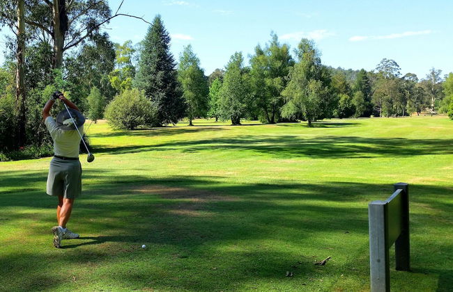 Marysville Garden Cottages - Photo 56