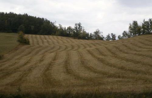 Società Agricola Cacigolara - Photo 109