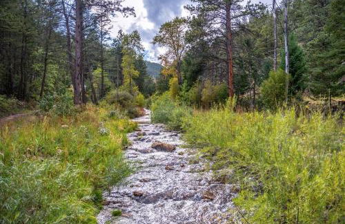 Dog Friendly, Year Round, Creekside Cabin, Hot Tub, 6 Acres - Foto 33