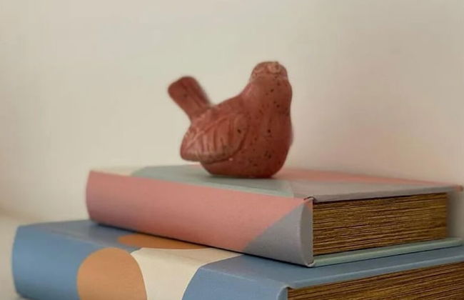 Nautilus Home Club - Penha - Polly - Foto 28