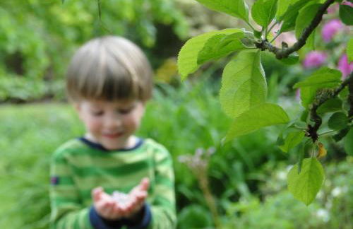 Ferienwohnung zum Breitling in Stove - Foto 15