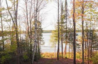 The Peshtigo Pines Treehouse - Foto 23