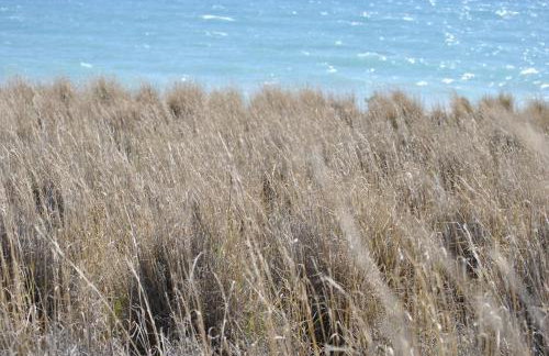 Chouzourakis Studios - Foto 44