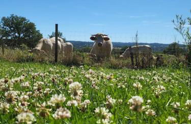 Etape à la campagne - Photo 22