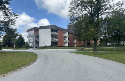 Fewo Austria Dreisessel in Altreichenau - Foto 17