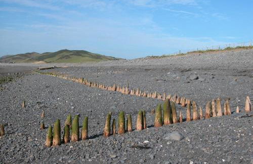 Pretty barn conversion in seaside village - Photo 20