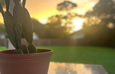 The Golden Hour - Foto 59