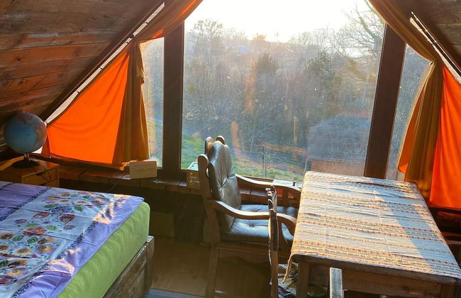 Ptasia Osada - Photo 6