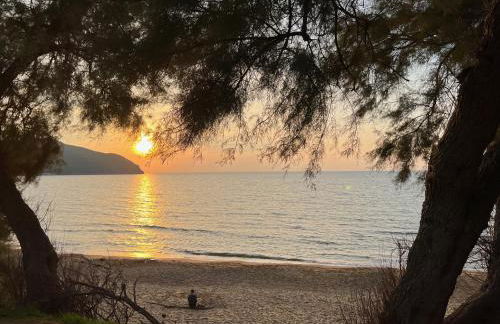 Poggio Ferrone - Foto 45