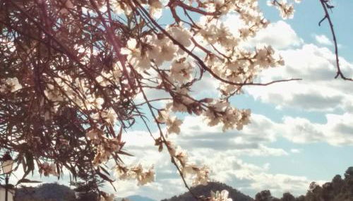 El Palomar de Peñarrubia - Foto 4, Other