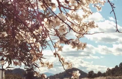 El Palomar de Peñarrubia - Foto 4