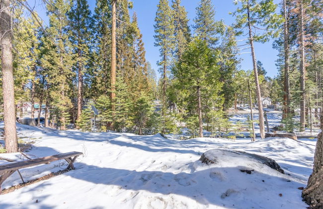 Rustic Knotty Pine - Minutes to the Water! - Foto 13